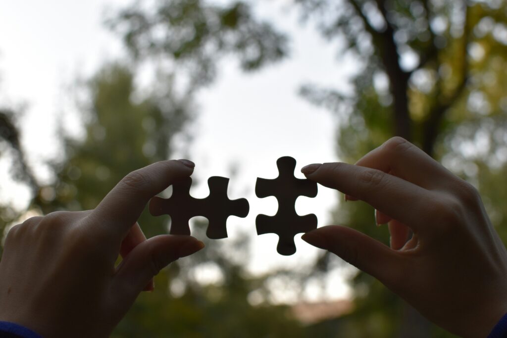 Jigsaw pieces
